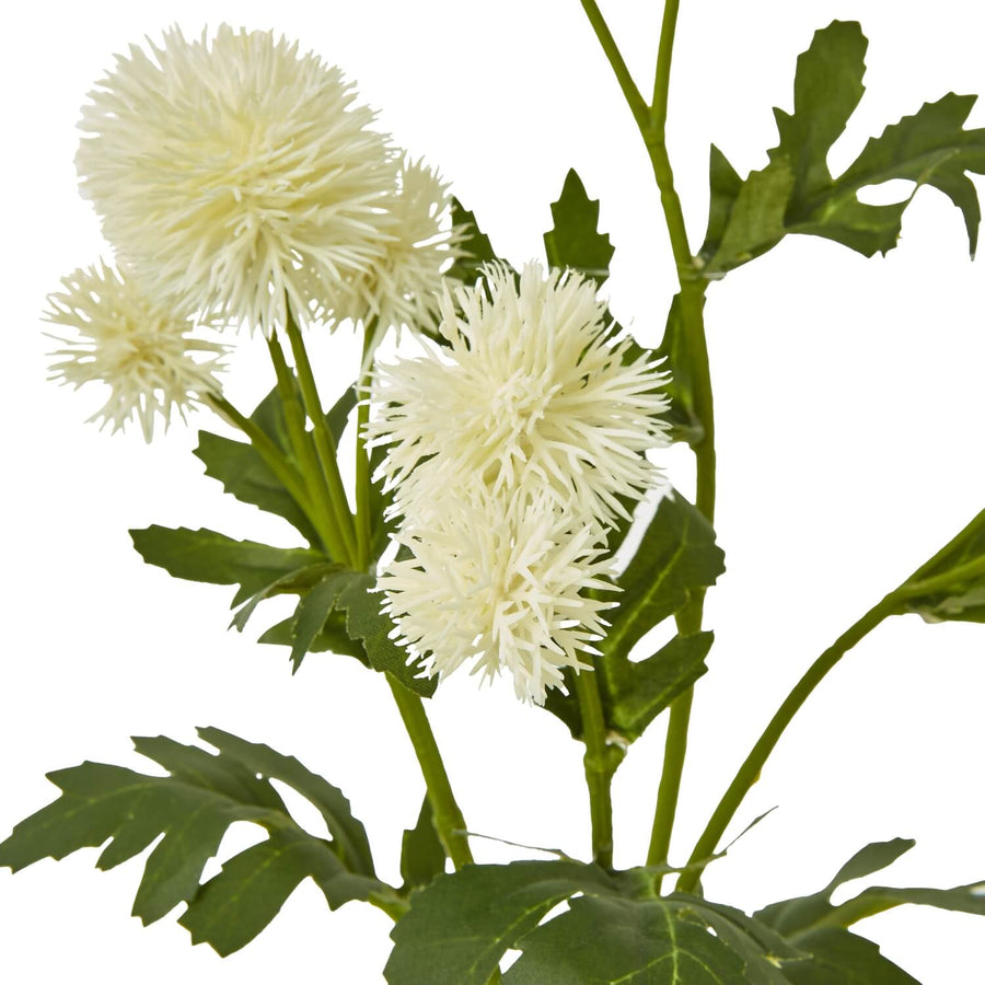 Cream faux globe thistle spray with lifelike texture, 56cm tall, perfect for modern or rustic home decor by Sostter at brixbailey.com