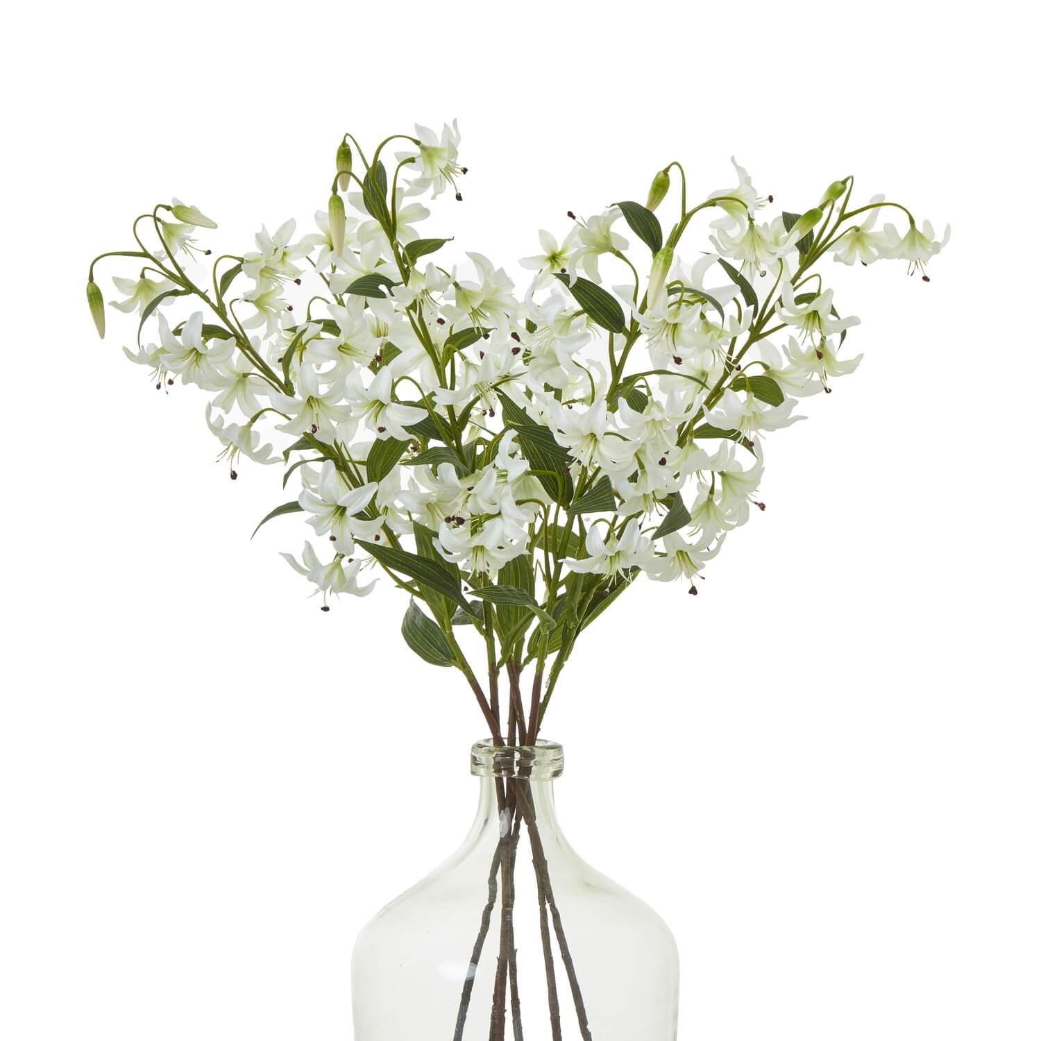 white turk's cap lily Vibrant Turks Cap Lily | Lifelike Floral Foliage
