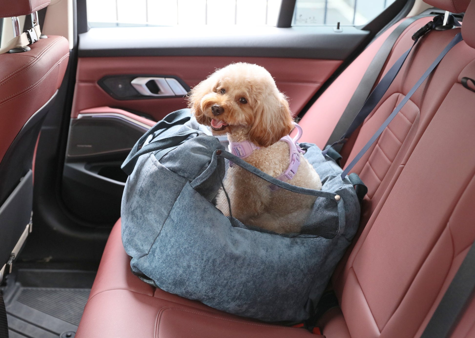 Puff Guard Blue Dog Car Seat for Small and Medium Pets