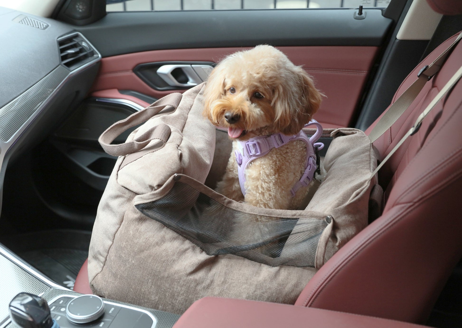 Puff Guard Dog Car Seat in Camel