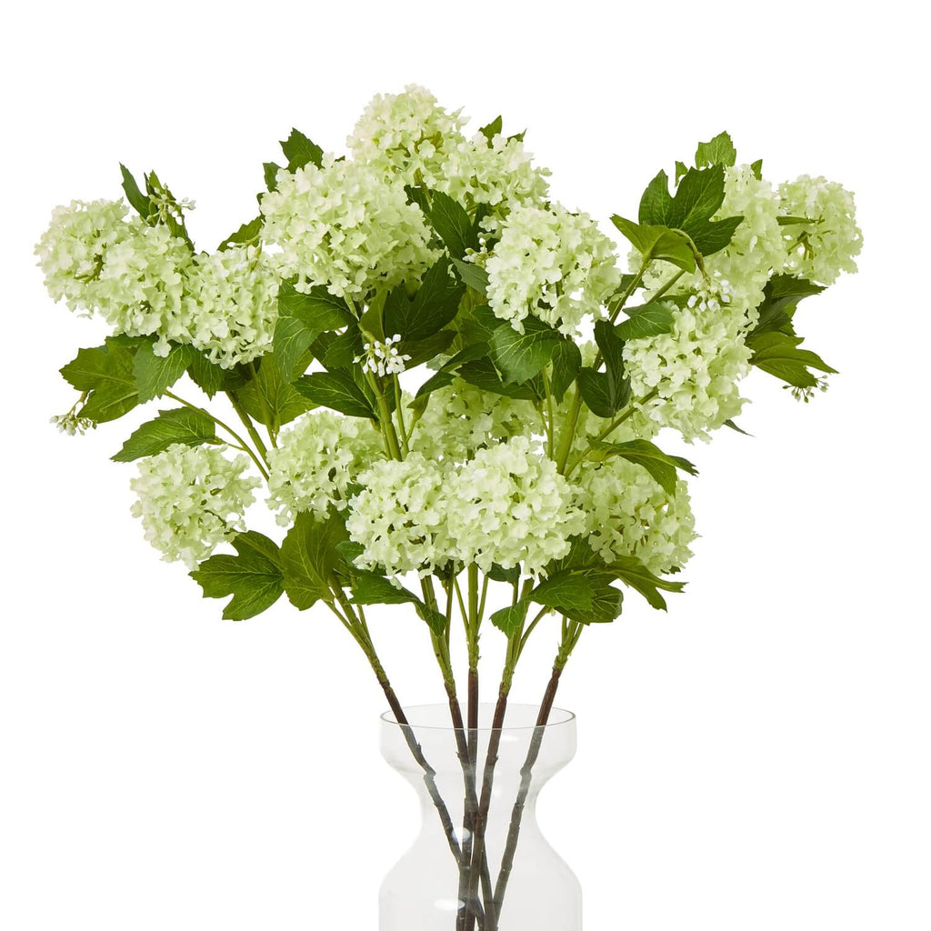 Green Snowball Viburnum faux floral spray with lifelike clusters in rich green, perfect for modern home decor. by Sostter at brixbailey.com