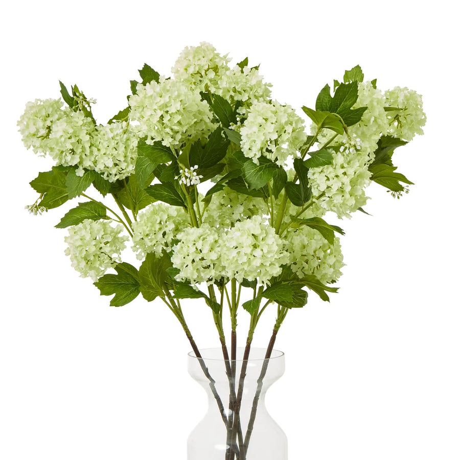Green Snowball Viburnum faux floral spray with lifelike clusters in rich green, perfect for modern home decor. by Sostter at brixbailey.com
