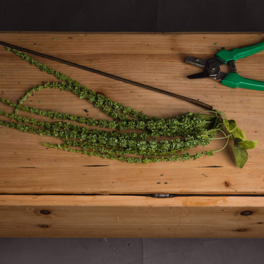 Lifelike artificial trailing stem in vibrant green, cascading plastic foliage for effortless home decor by Sostter at brixbailey.com