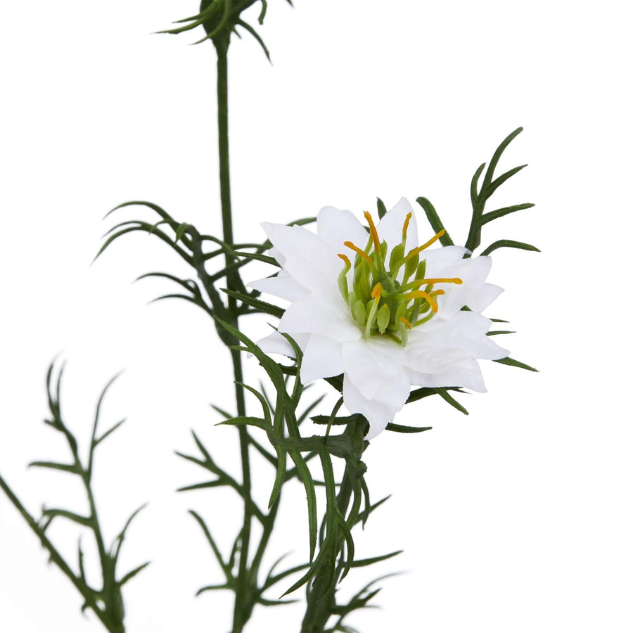 White Nigella-inspired floral stem with intricate seed pods and feathery foliage, 68cm tall, for elegant arrangements (124 chars) by Sostter at brixbailey.com