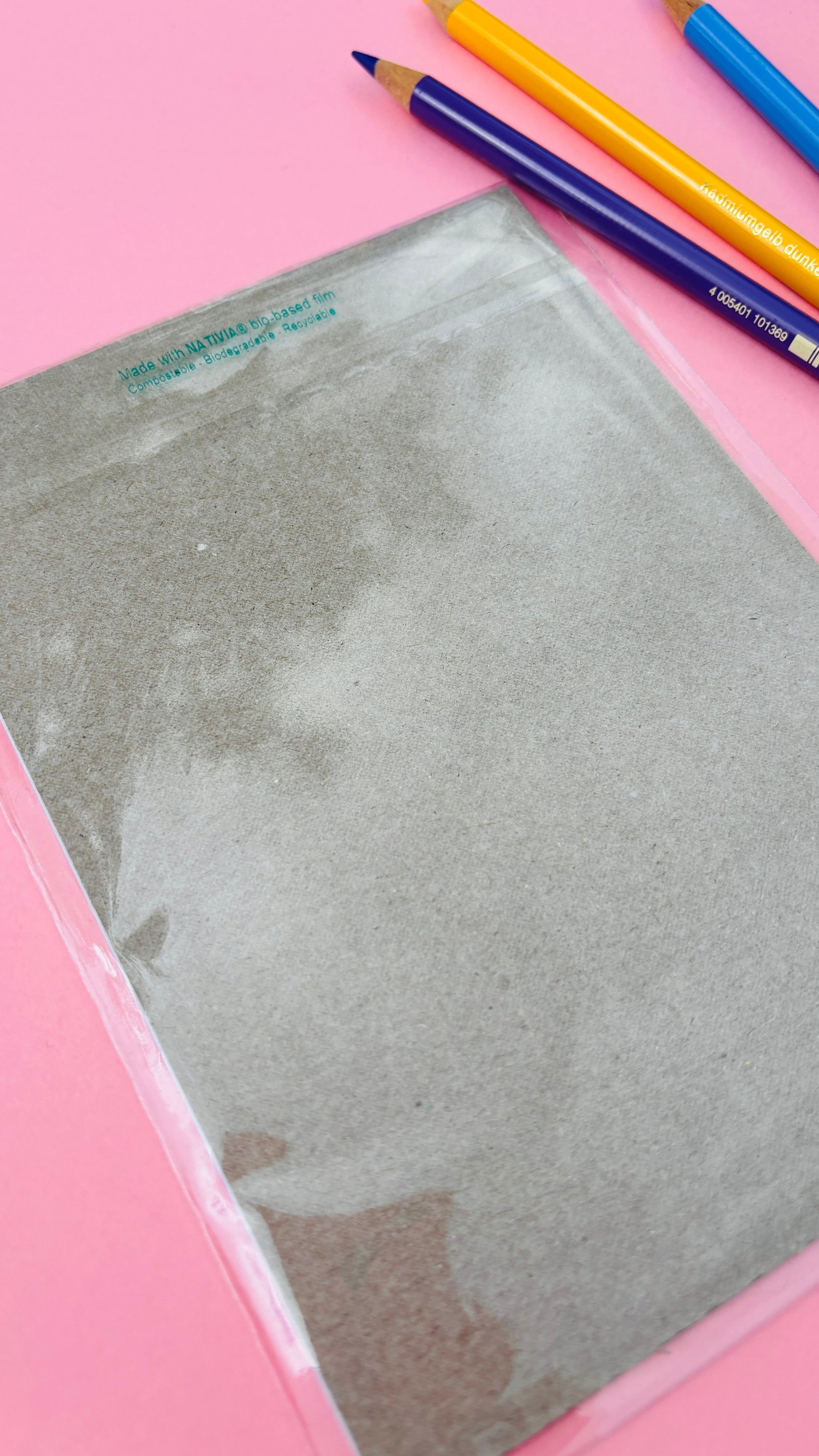 Funny Plant Wall Art- Introvert Gifts: Multiple sizes Available