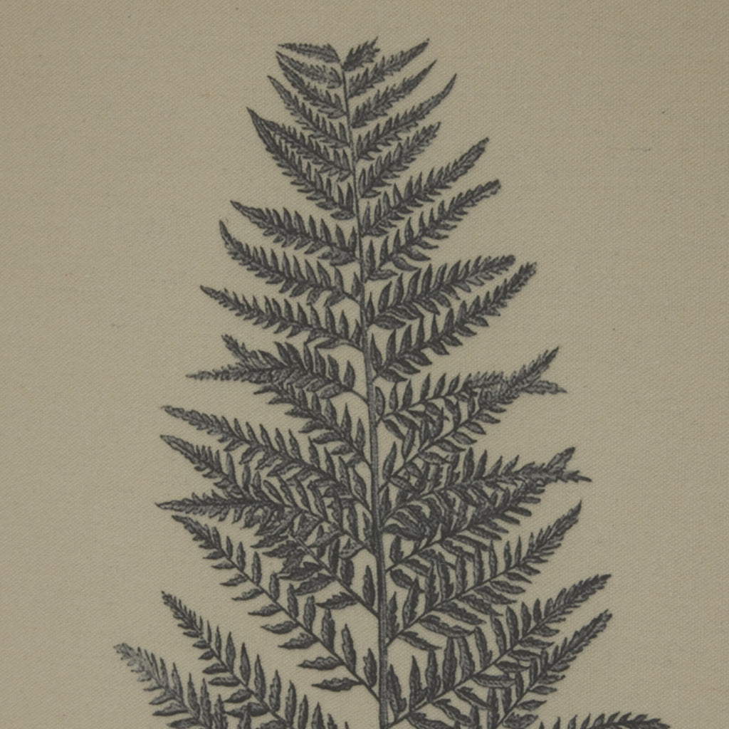 Botanical wall art with beech fern illustration on natural linen, framed in subtle beaded trim. by Sostter at brixbailey.com