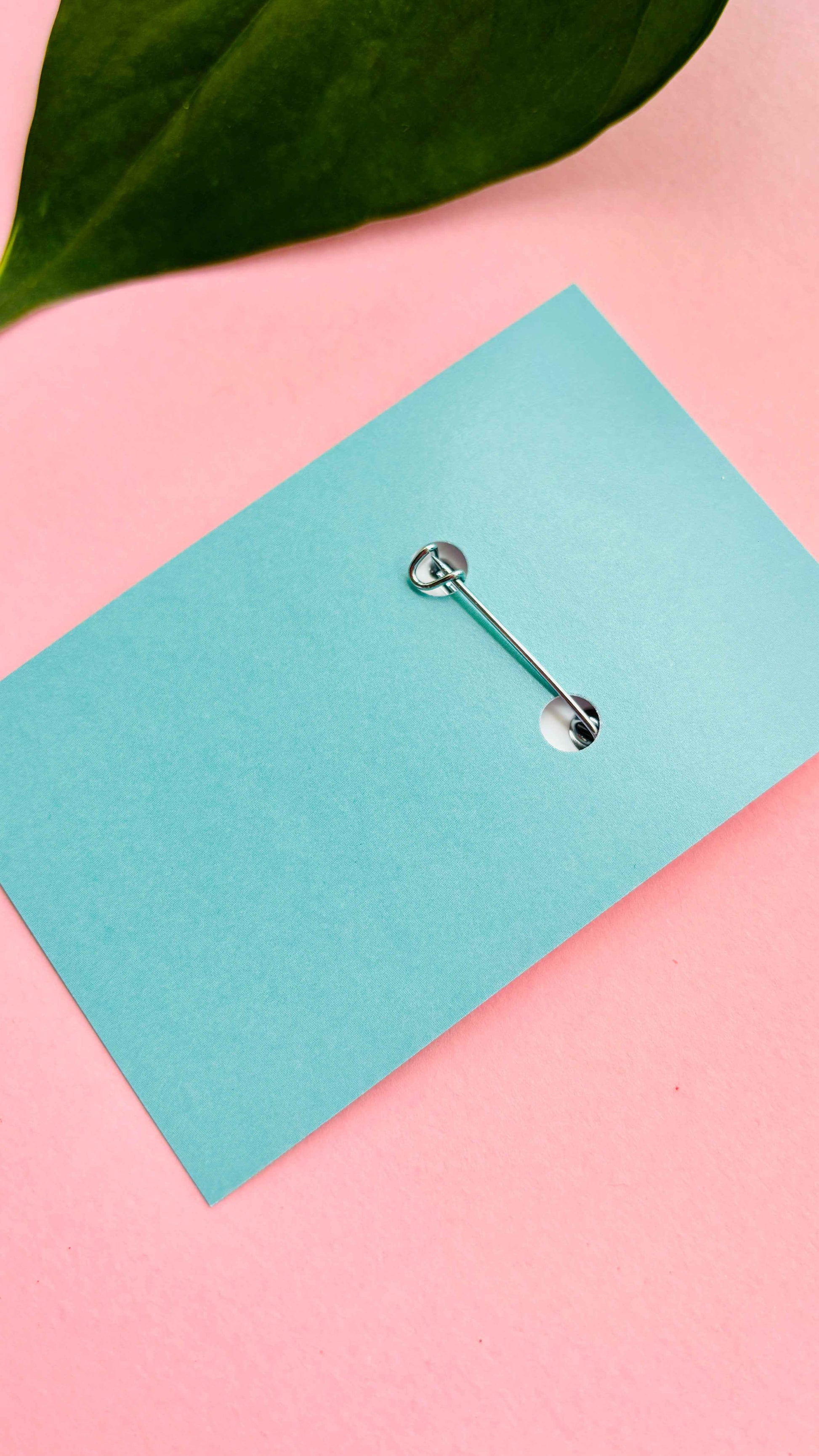 Friend to Seagulls 38mm Badge/Magnet