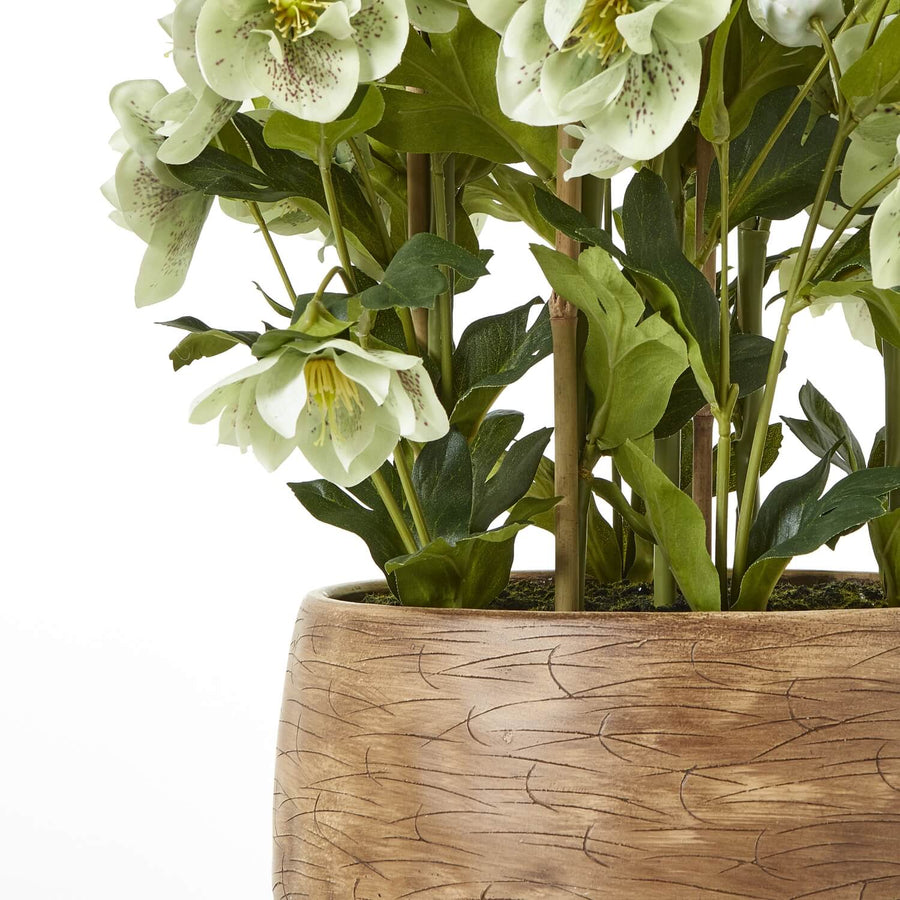 Lifelike faux orchid in vibrant green with ceramic pot, perfect for home or office decor. by Sostter at brixbailey.com
