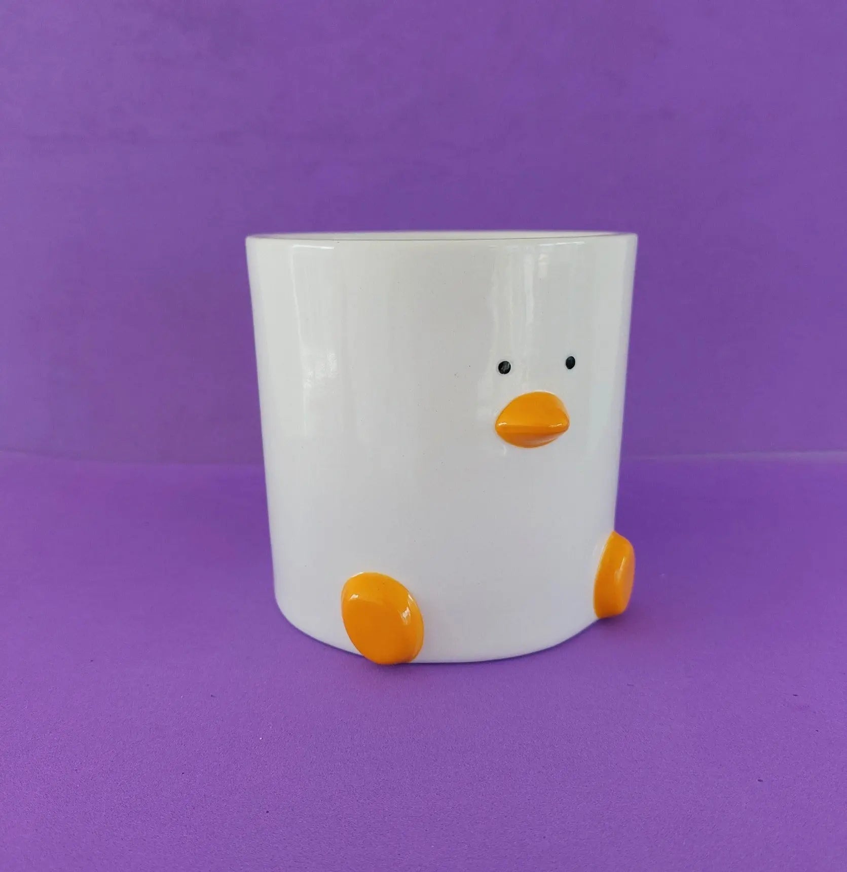 Duck Plant Pot (by Haus of Honk)