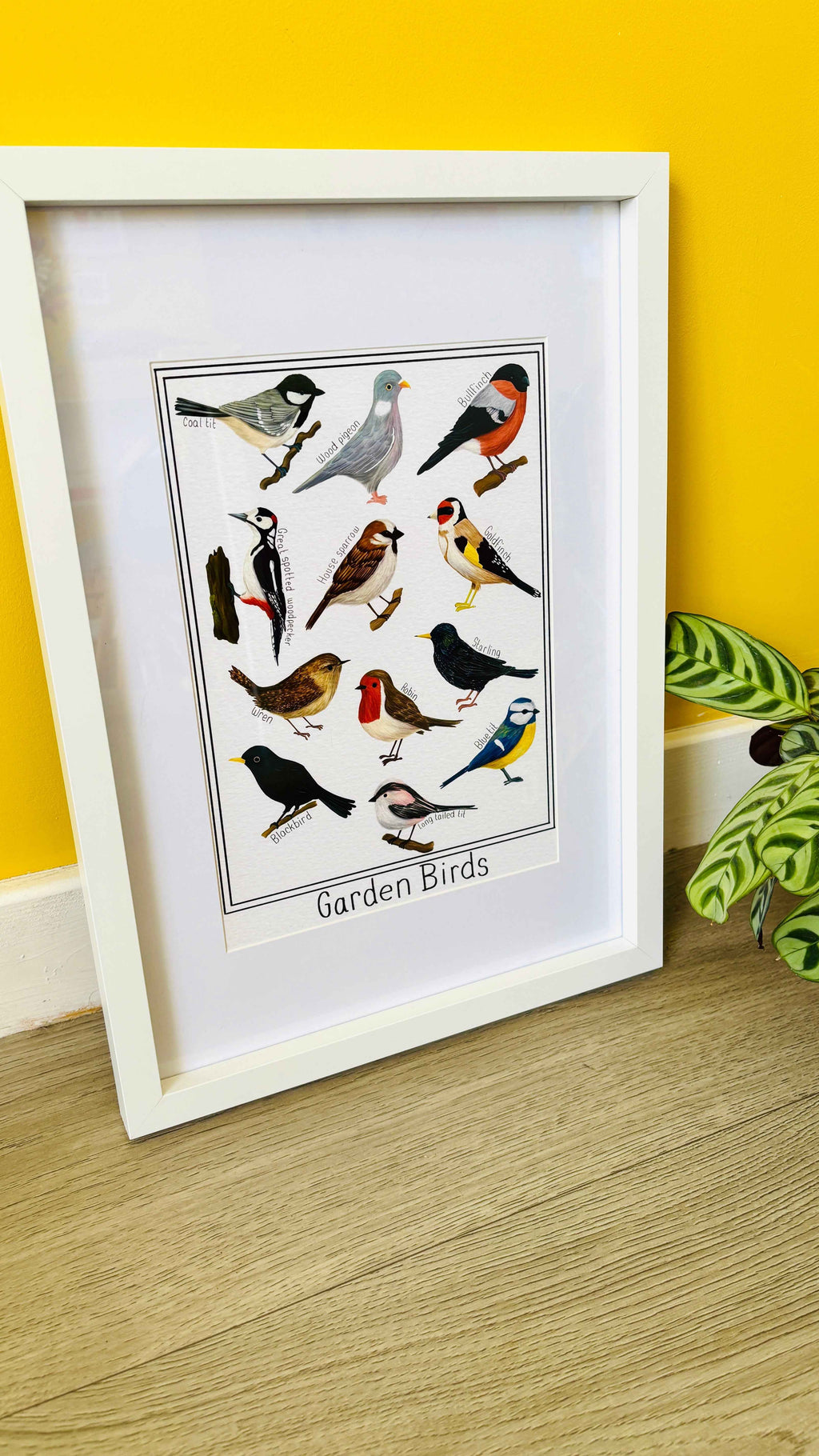 Garden British Birds Art Print-: Multiple Sizes available