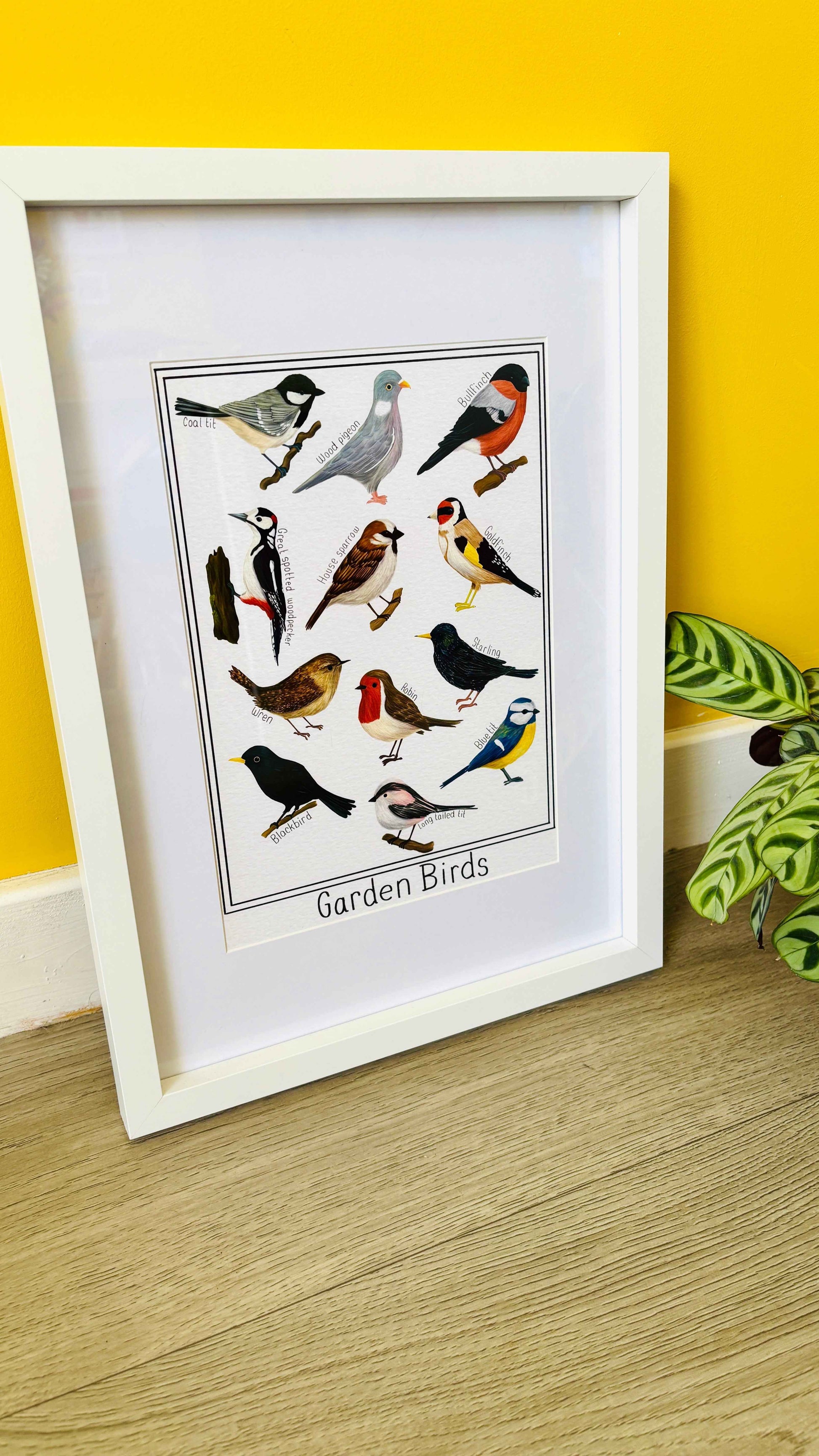 Garden British Birds Art Print-: Multiple Sizes available