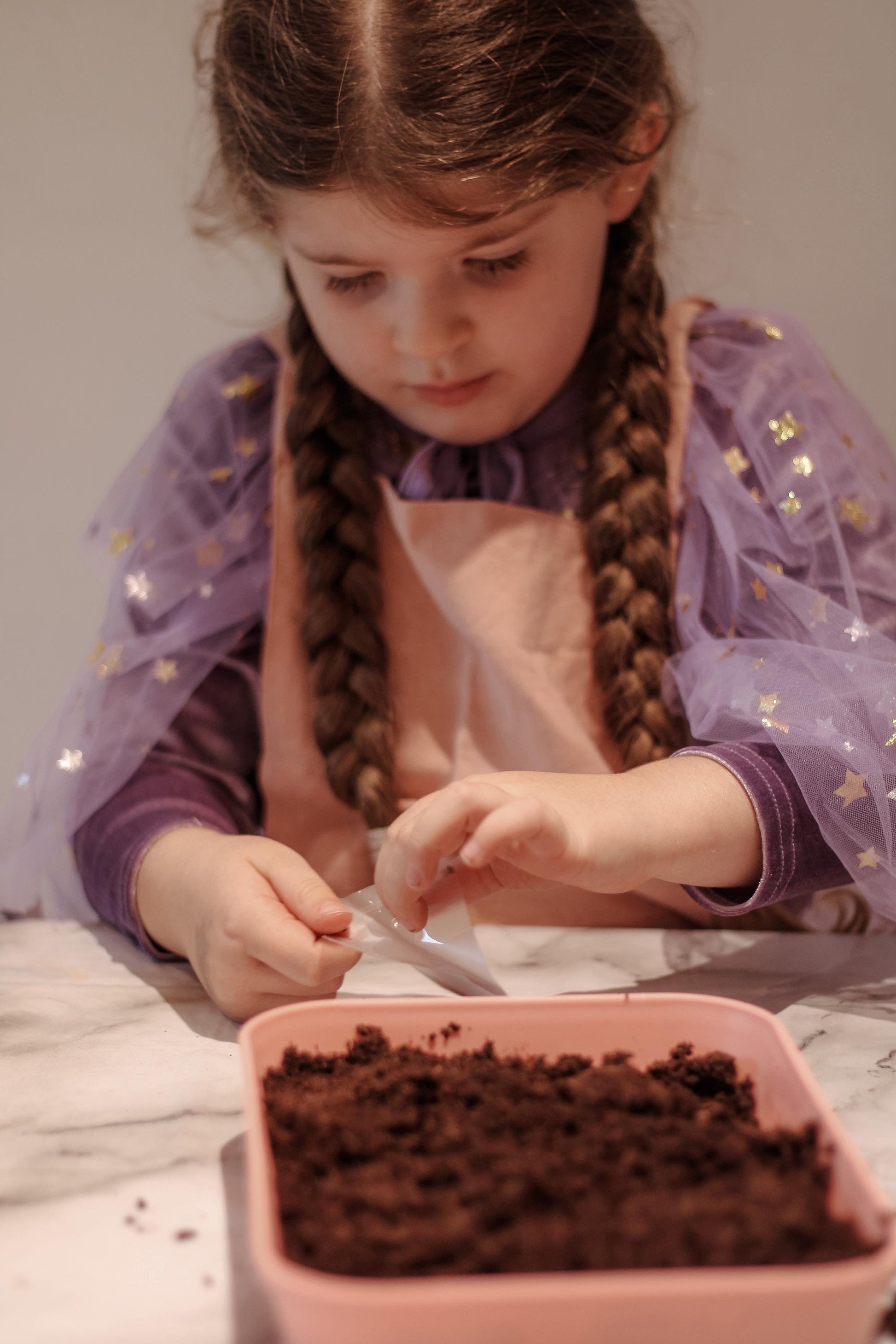 Fairy Garden Starter Kit with Apron, Tray, Shovel, Fairies, Soil and Seeds