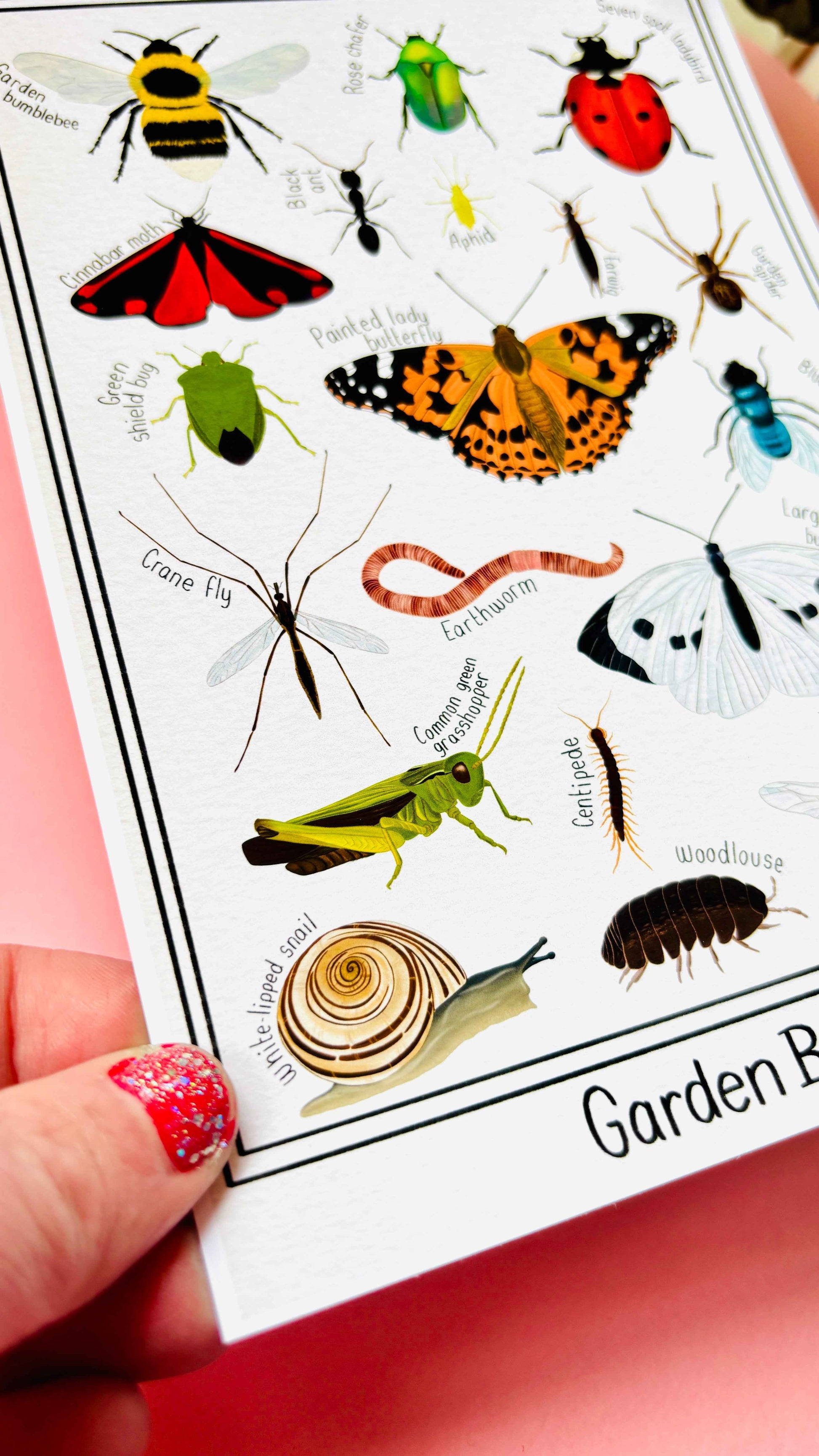 Garden Bug Wall Art Print: Nature Inspired Educational Prints