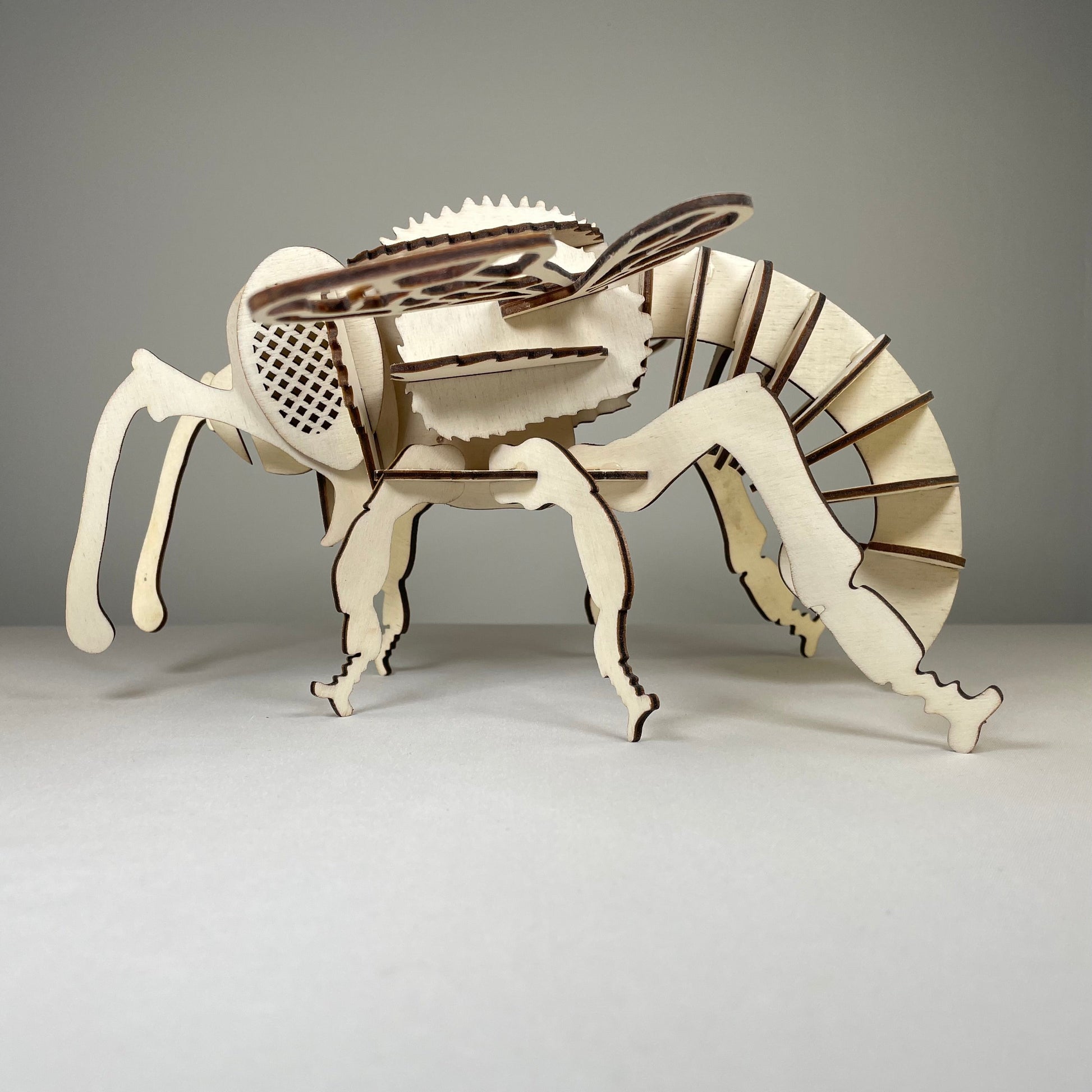 Bee Puzzle - Pre-Built Model by Curious Rabbit ®