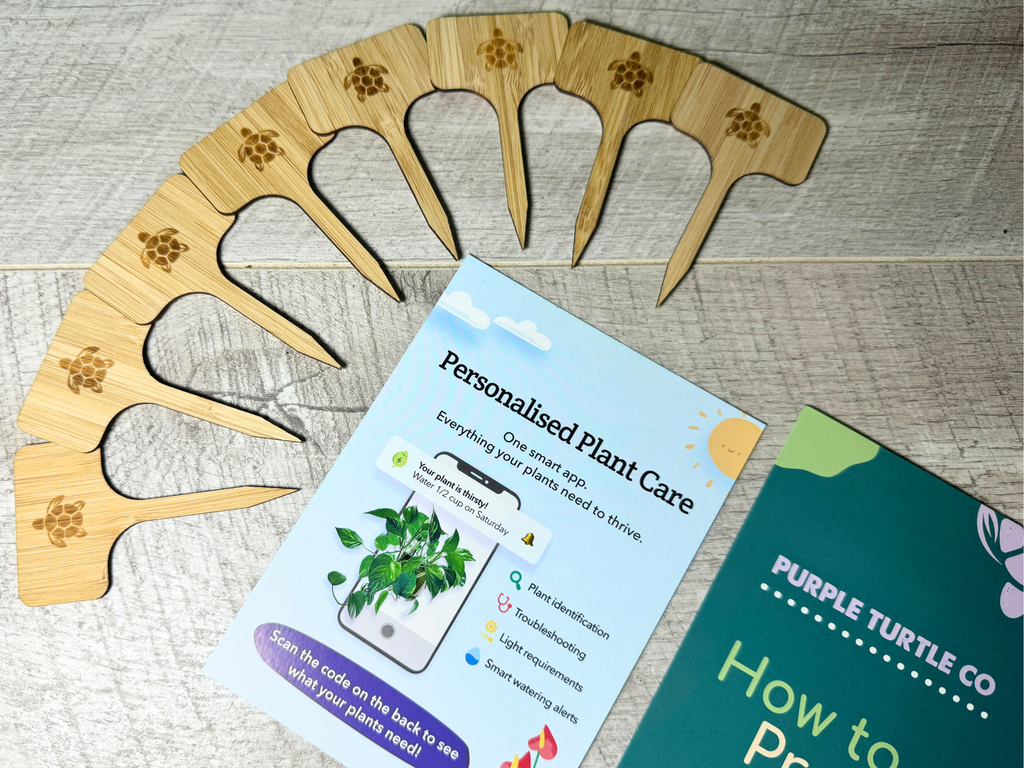 Plant Propagation Gift Set #4