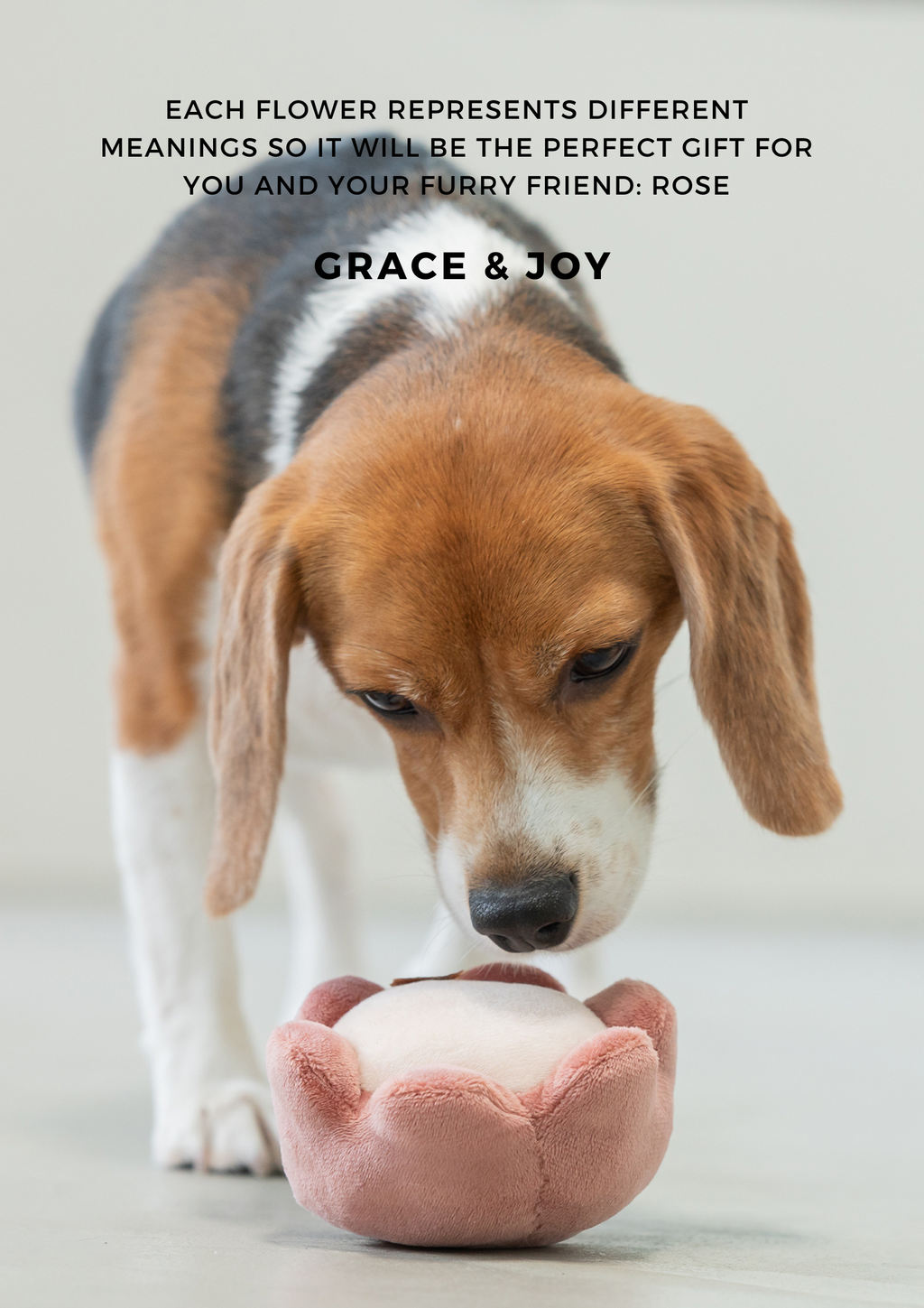 Paradise Rose Pet Toy with Hidden Treat Pocket