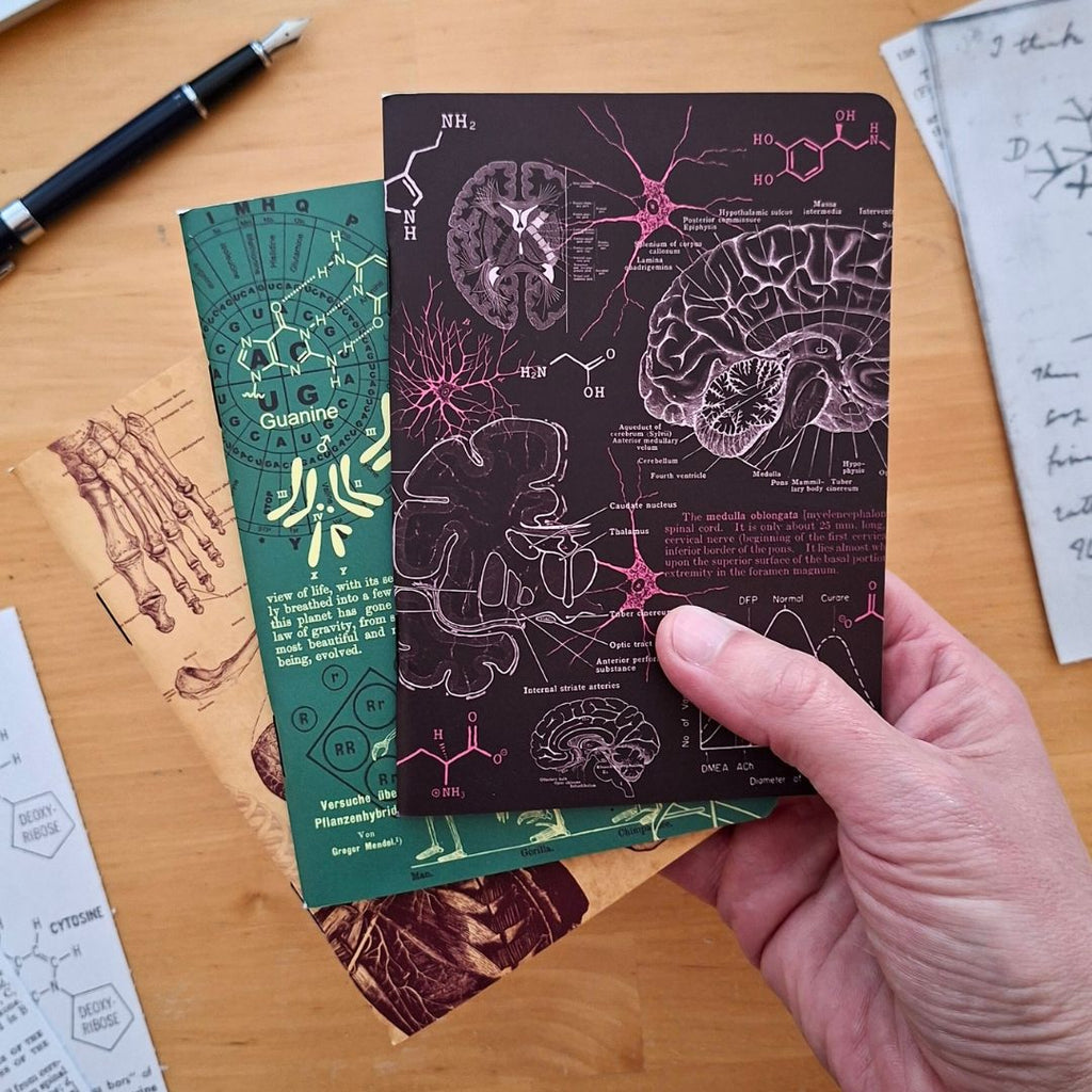 The Living Code Notebook Set Anatomy Neuroscience Evolution Genetics