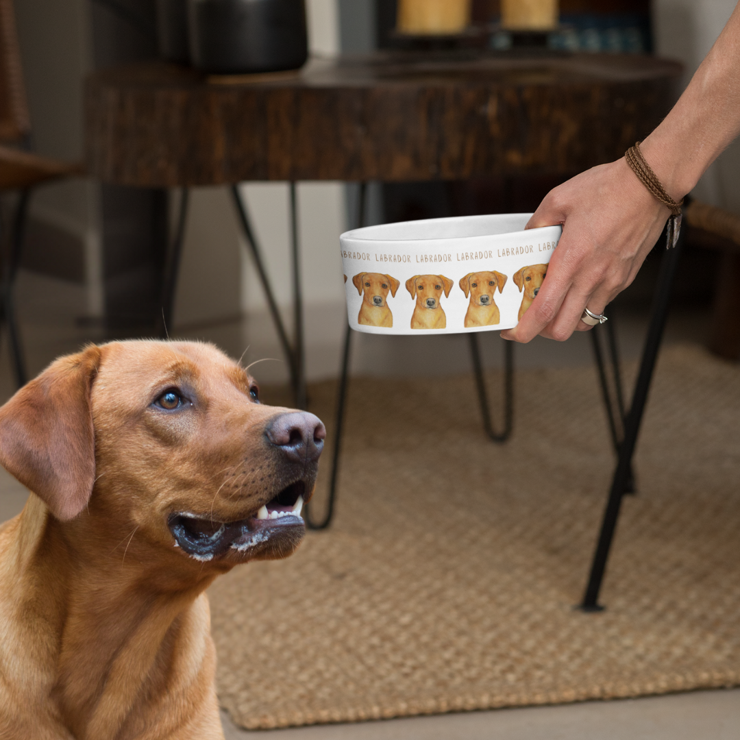 Bone Appétit! Luxe Lab Bowl for the Om Nom Nomnivore