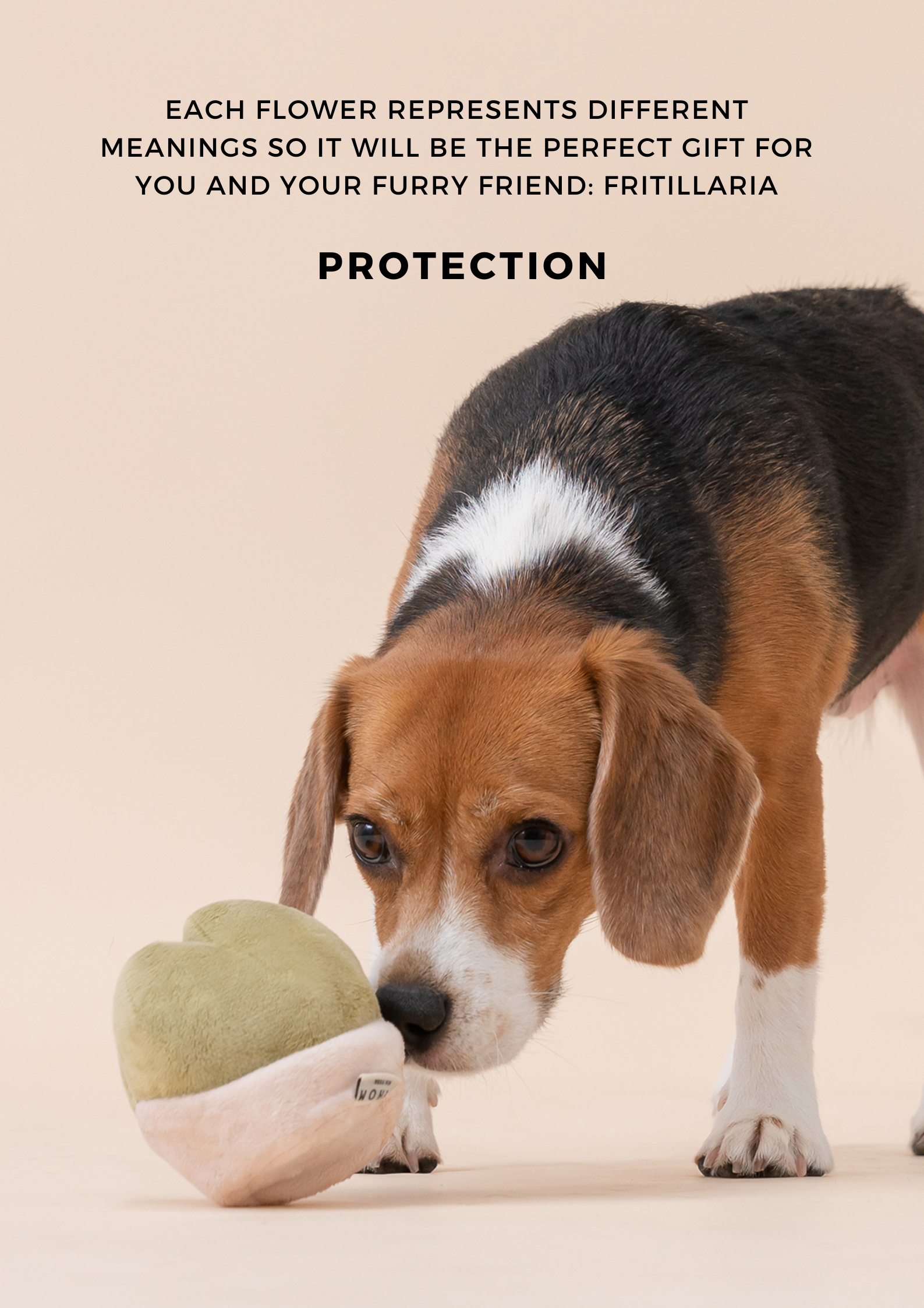 Paradise Pet Toy with Squeaker and Treat Pocket