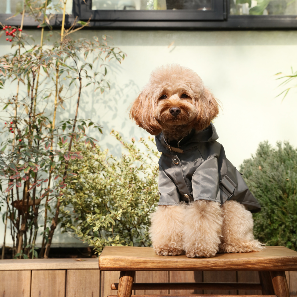 Bowery Raincoat in Gray