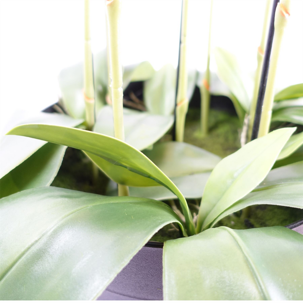 150cm Giant Purple Orchid Plant Artificial with 189 Real Touch Flowers
