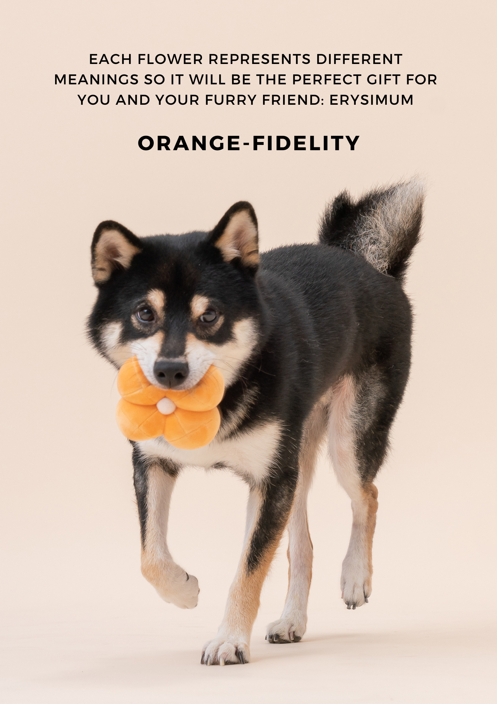 Paradise Pet Toy with Hidden Treats Pocket