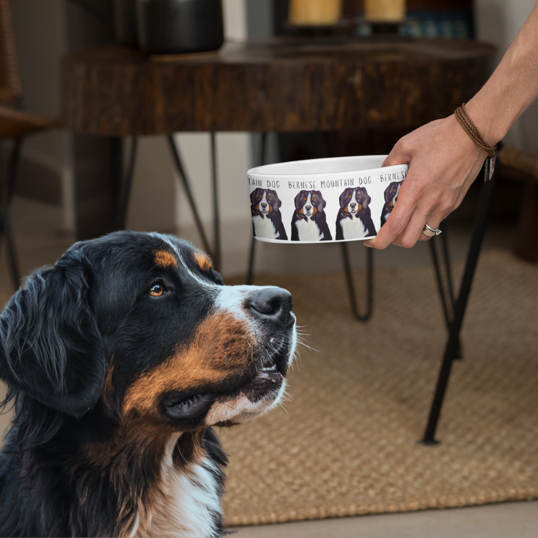 The Ultimate Berner Bowl – Because Big Dogs Need Big Snacks!