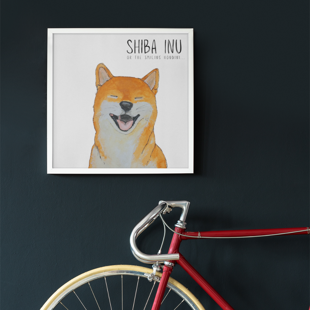 Escape Artist Elegance: The Shiba Wall Print