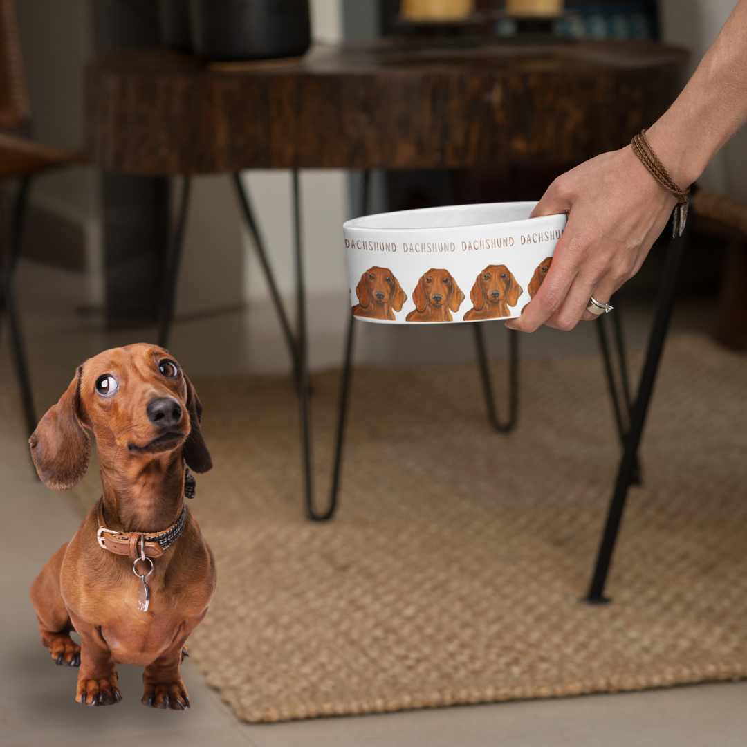 Handcrafted Dachshund Dog Bowl – Stylish Dining for Your Doxie!