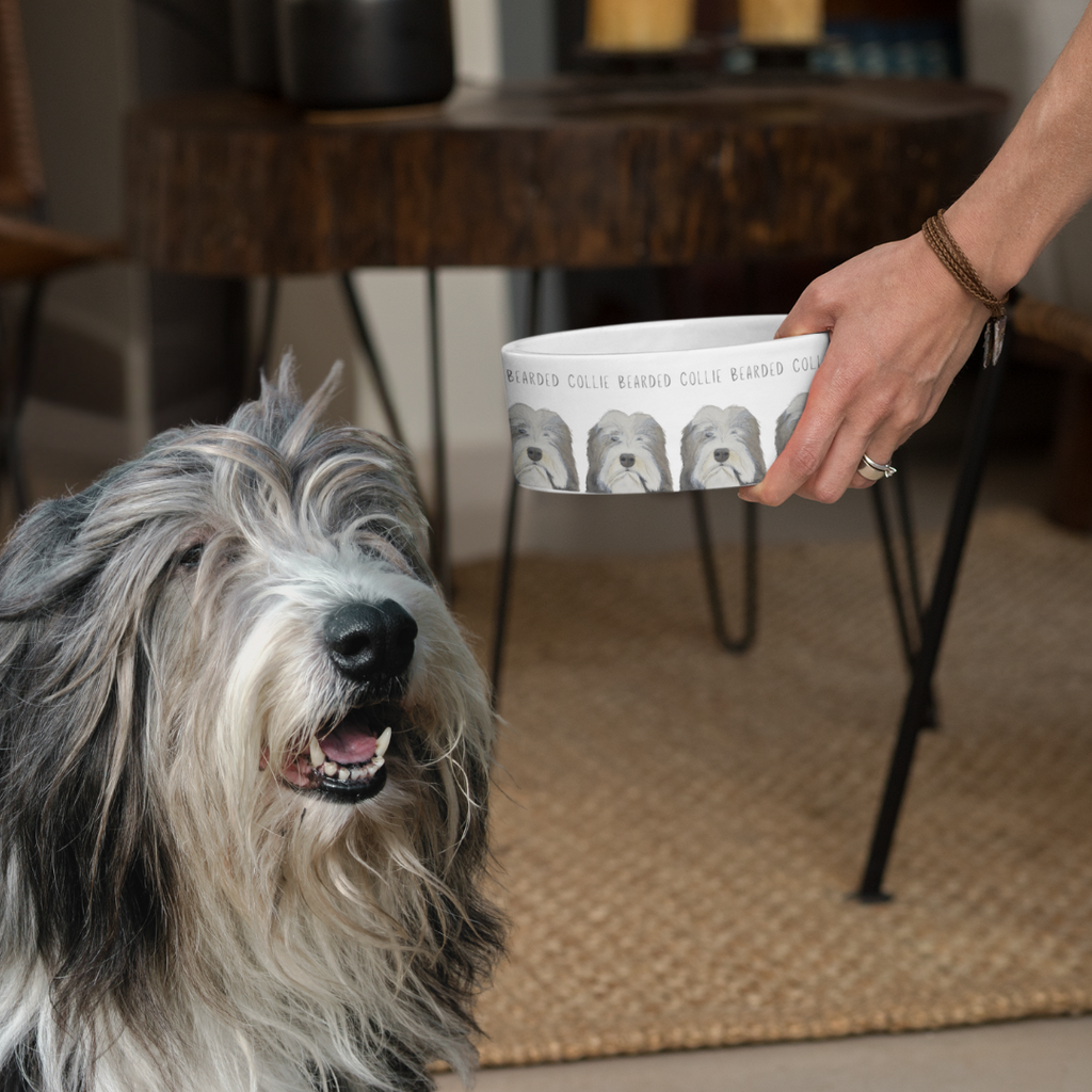 Bearded Collie Bowl – For the Hairicane Who Dines Like Royalty