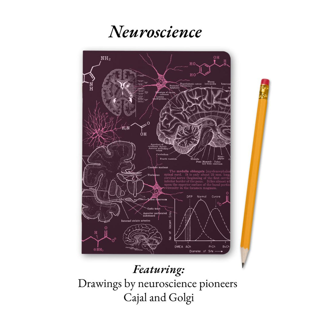 The Living Code Notebook Set Anatomy Neuroscience Evolution Genetics