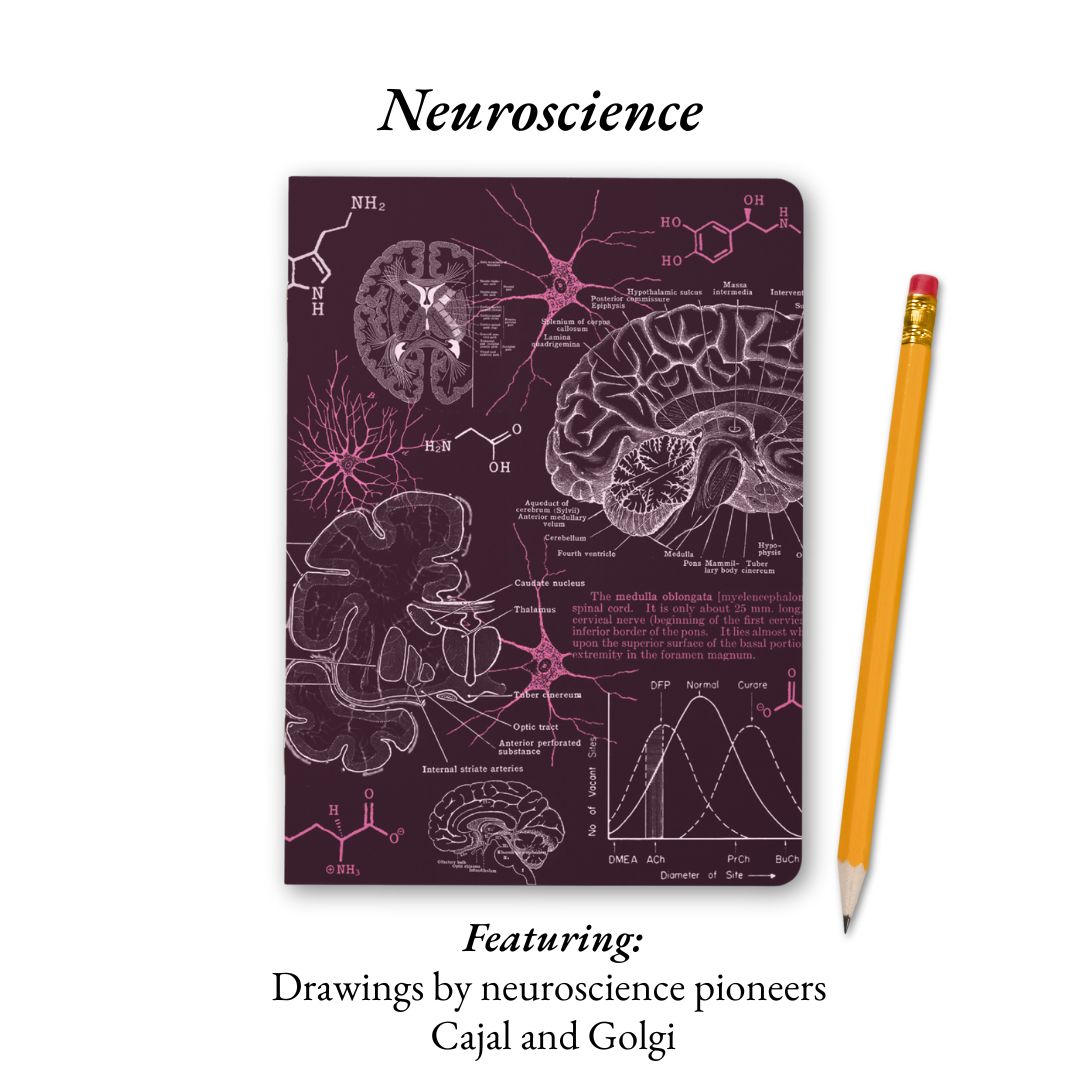 The Living Code Notebook Set Anatomy Neuroscience Evolution Genetics