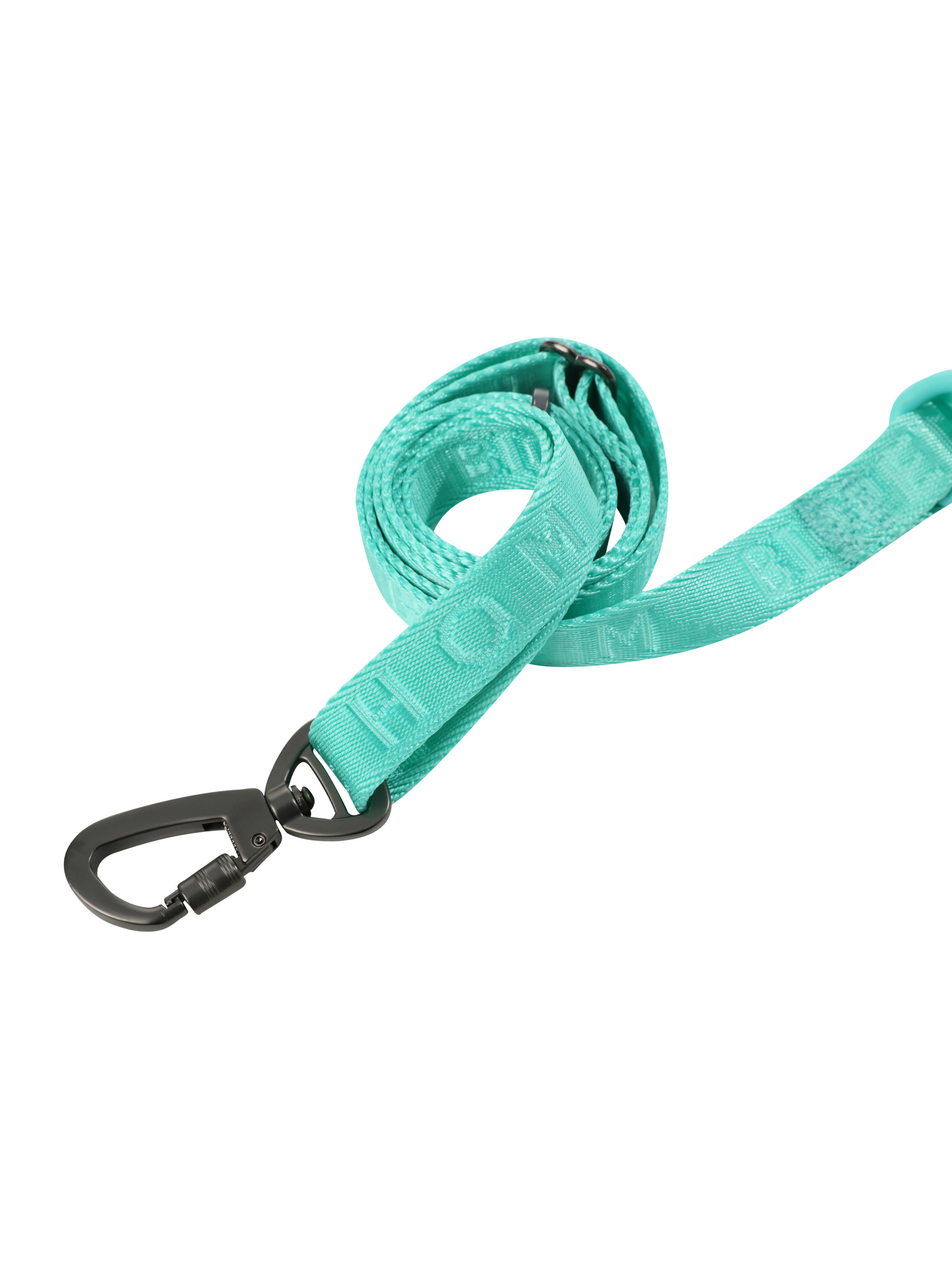 Padded Active Pet Leash in Mint Green