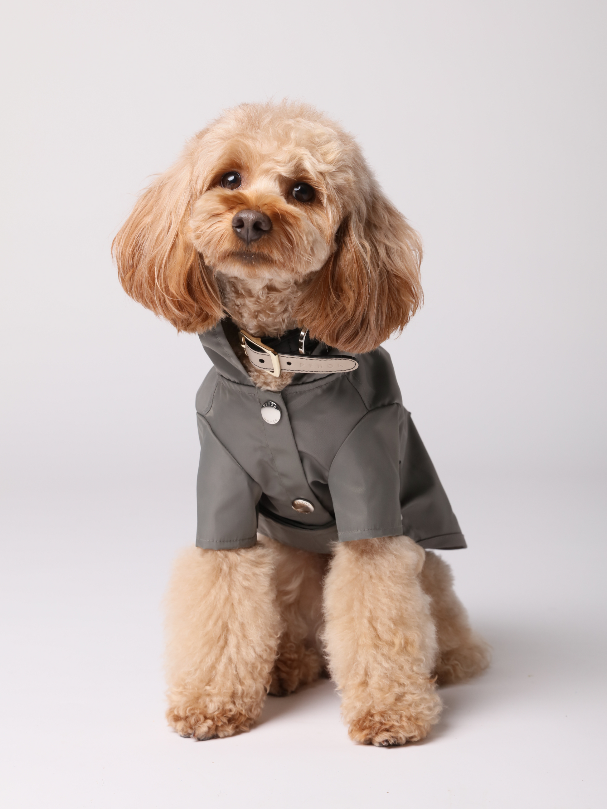 Bowery Raincoat in Gray