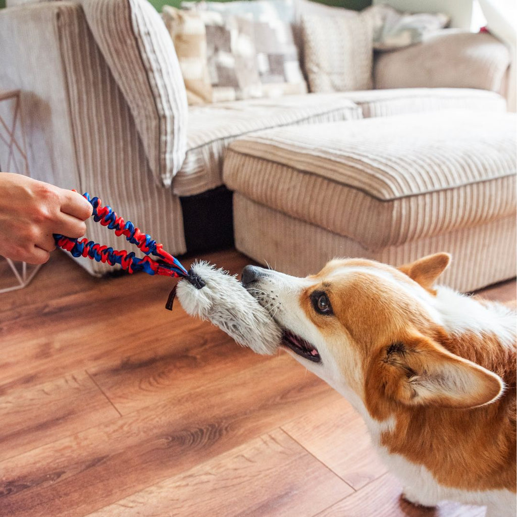 Faux Fur Pocket Squeaker Toy with Bungee Handle