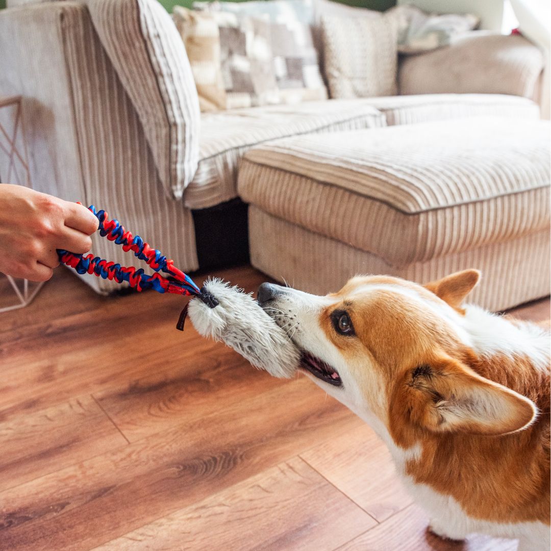 Faux Fur Pocket Squeaker Toy with Bungee Handle
