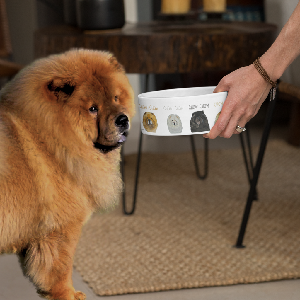Chow Time in Style: Ceramic Dog Bowl Featuring a Chow Chow!