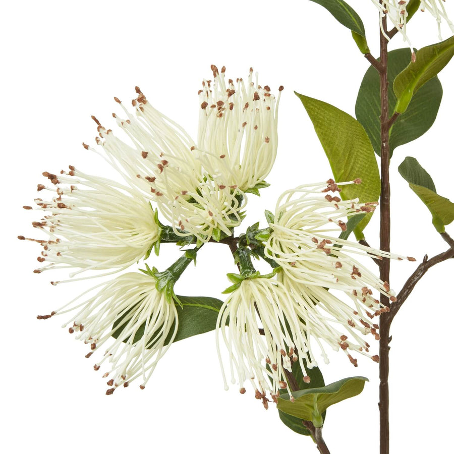 Cream Protea Nitida spray artificial flowers with green foliage, 65cm lifelike floral arrangement for home decor by Sostter at brixbailey.com