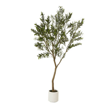 240cm artificial Apulia olive tree with gnarled trunk, silvery-green leaves, and lifelike olives in white pot by Sostter at brixbailey.com