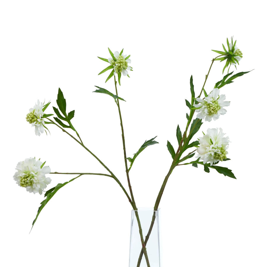 Realistic white artificial scabious stem with delicate petals and leaves, perfect for home decor or floral arrangements. by Sostter at brixbailey.com
