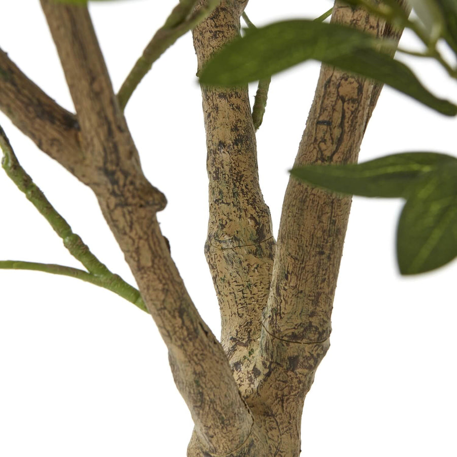 240cm lifelike Apulia olive tree with silvery-green leaves, gnarled trunk, and white pot for Mediterranean-inspired decor by Sostter at brixbailey.com