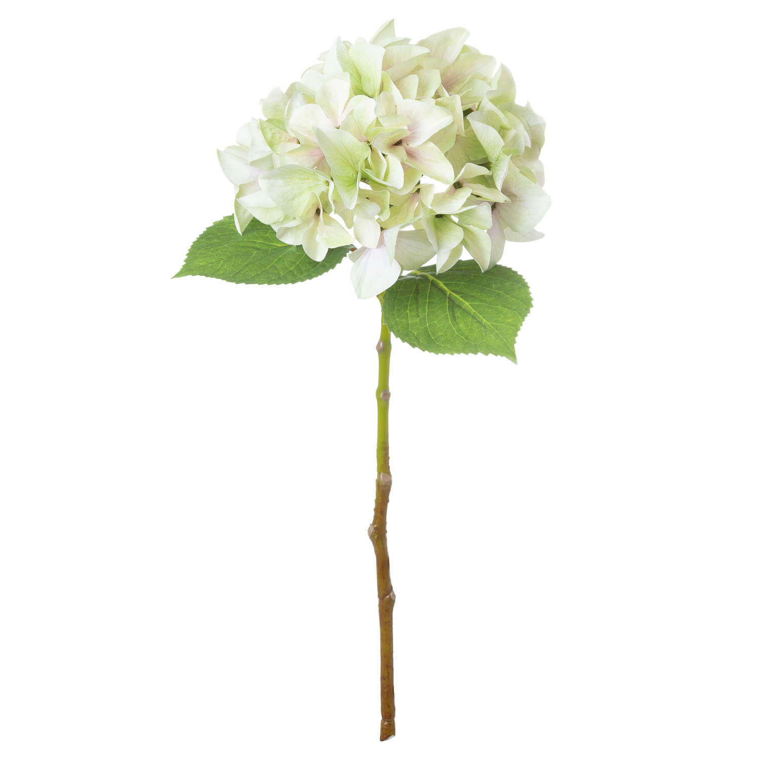 Lifelike artificial hydrangea stem in soft green, 50cm tall with realistic plastic petals and leaves for home decor by Sostter at brixbailey.com