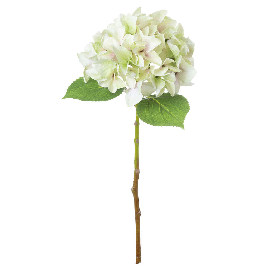 Lifelike artificial hydrangea stem in soft green, 50cm tall with realistic plastic petals and leaves for home decor by Sostter at brixbailey.com