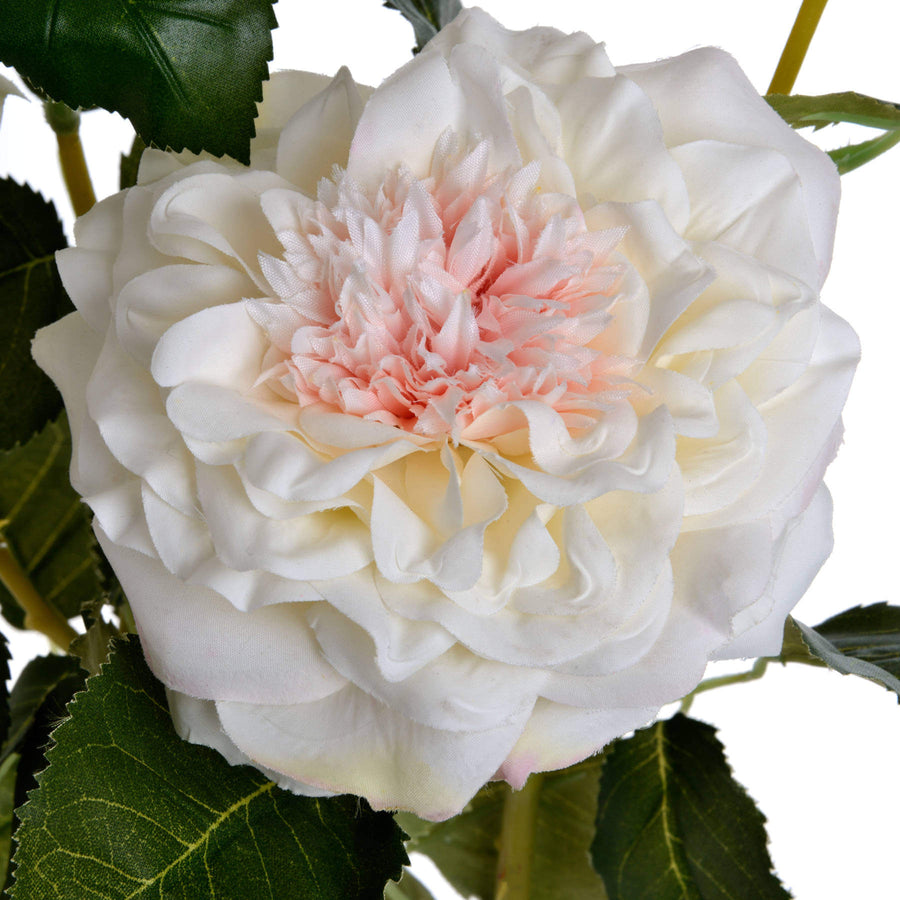 Lifelike white garden rose spray arrangement with ivory blooms and textured leaves for elegant home decor by Sostter at brixbailey.com