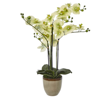 Lifelike cream phalaenopsis orchid arrangement in ceramic pot, hyper-realistic faux flowers with green accents, elegant home decor by Sostter at brixbailey.com