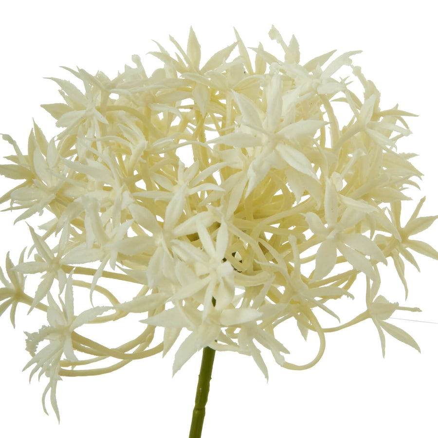 Cream allium spray faux floral with lacy blooms, soft cream ornamental onion flowers, 25-inch home decor accent by Sostter at brixbailey.com