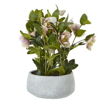 Lifelike faux Hellebore plant with soft pink and white blooms in grey ceramic pot, perfect for home decor by Sostter at brixbailey.com