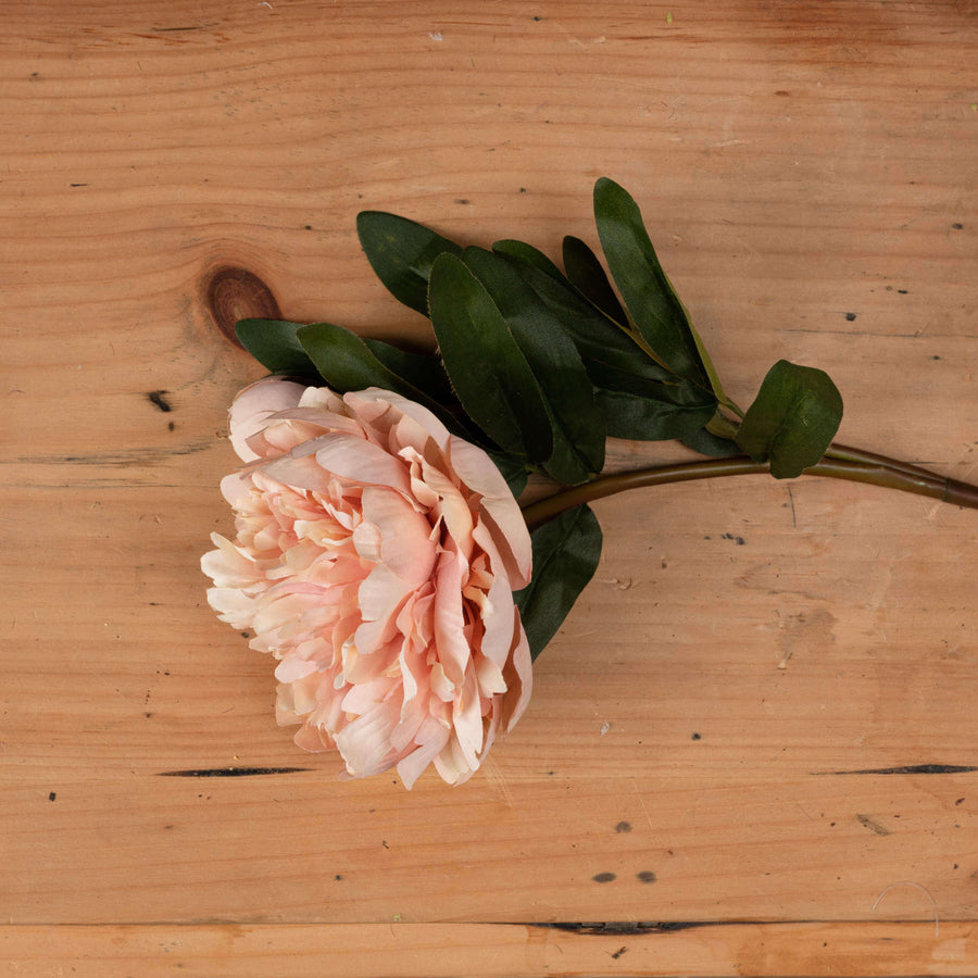 Lifelike artificial peach peonies with realistic petals and buds, perfect for home decor (94 characters) by Sostter at brixbailey.com