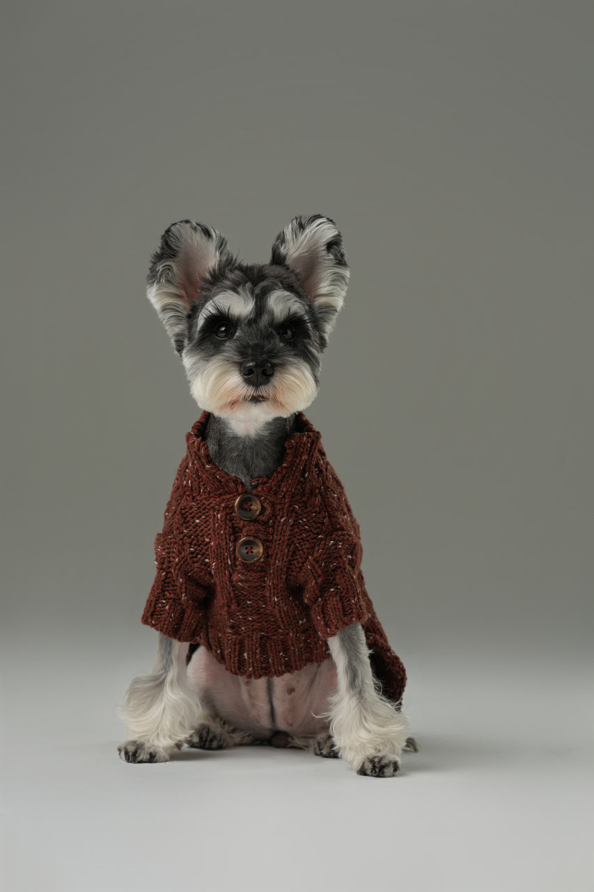 Glacier Pet Sweater in Burgundy