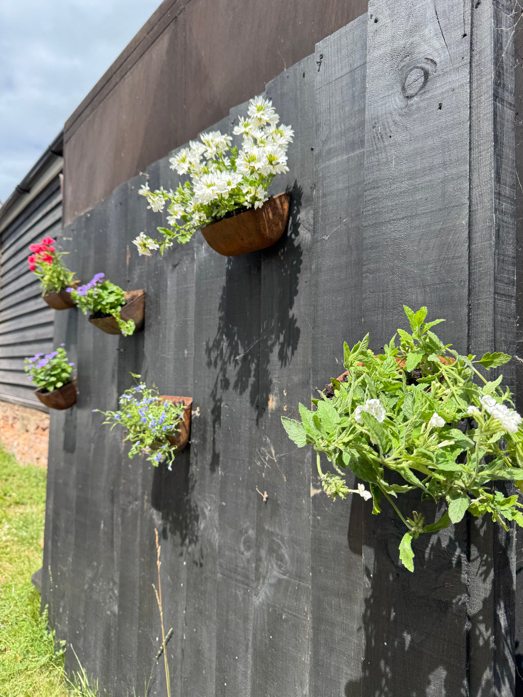 Vintage Rusty Metal Wall Mounted Planter / Herb Planter / Plant Pot / Key Holder